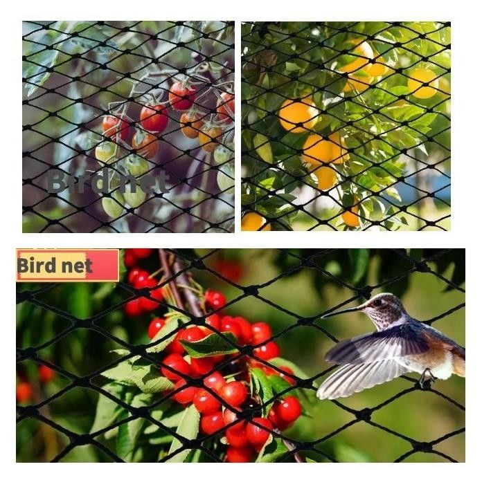 Bird Safety Net 2