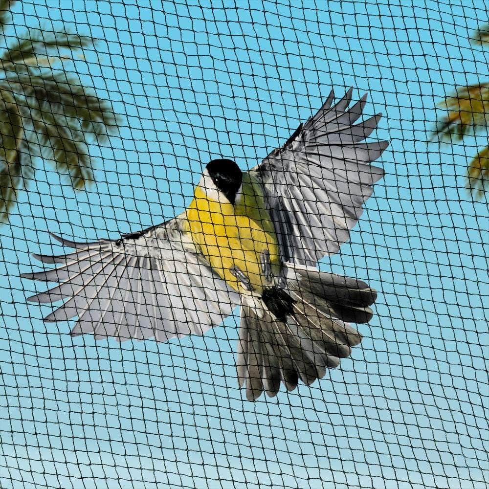 Bird Safety Net 3