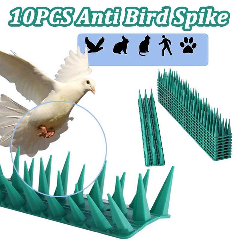 Bird spikes 3