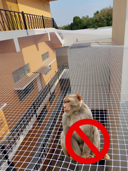 Monkey Safety Net 1